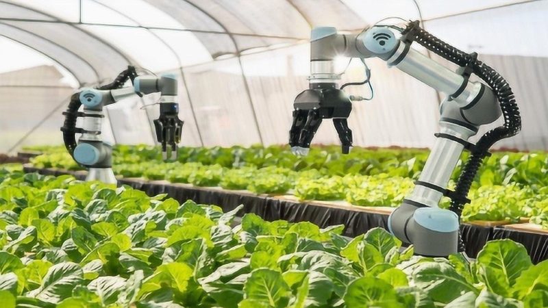 打捆机厂家报价表：揭秘选购背后的关键要素